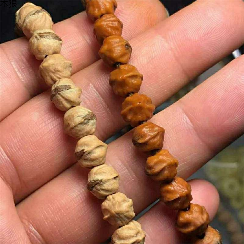 Vintage Collectible Market - Heiße vibrierende rote Knospe schmutzig mit