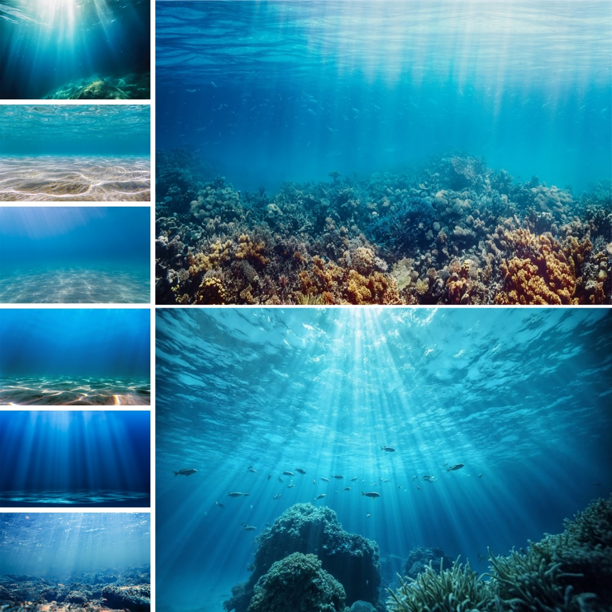 Blauer Unterwasserwelt-Hinterg – Photo Develop Tank Bewertung und Preis